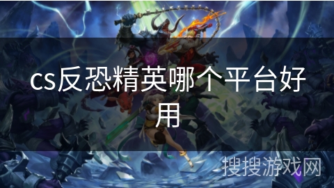 cs反恐精英哪个平台好用