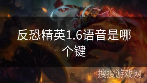 反恐精英1.6语音是哪个键