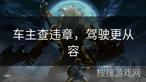 车主查违章，驾驶更从容