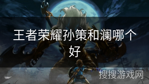 王者荣耀孙策和澜哪个好