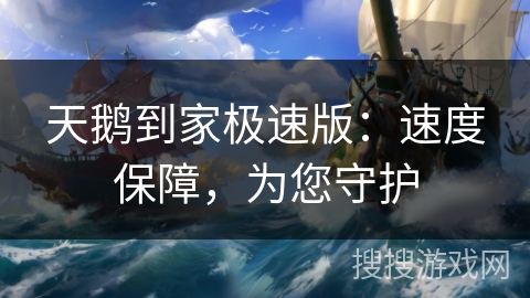 天鹅到家极速版：速度保障，为您守护