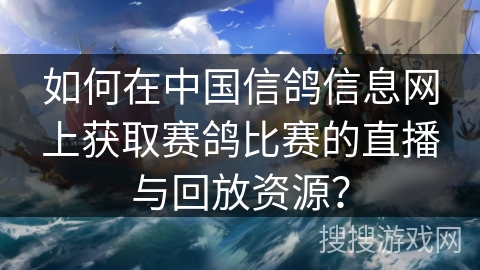 如何在中国信鸽信息网上获取赛鸽比赛的直播与回放资源？