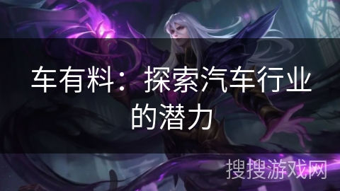 车有料：探索汽车行业的潜力