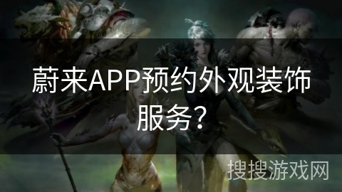 蔚来APP预约外观装饰服务？