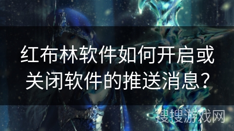 红布林软件如何开启或关闭软件的推送消息？