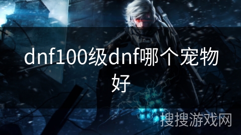 dnf100级dnf哪个宠物好