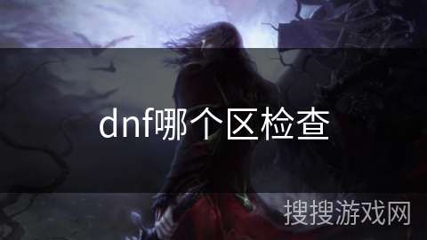 dnf哪个区检查