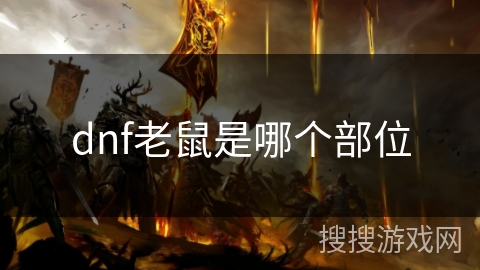 dnf老鼠是哪个部位 dnf老鼠是哪个部位