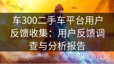 车300二手车平台用户反馈收集：用户反馈调查与分析报告