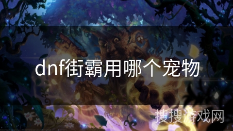 dnf街霸用哪个宠物