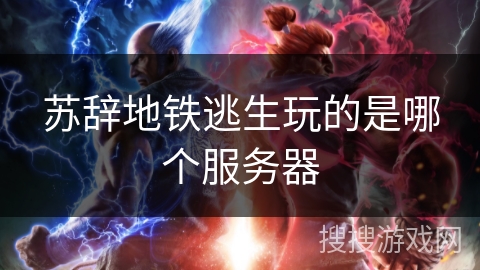苏辞地铁逃生玩的是哪个服务器
