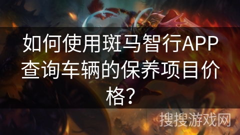 如何使用斑马智行APP查询车辆的保养项目价格？