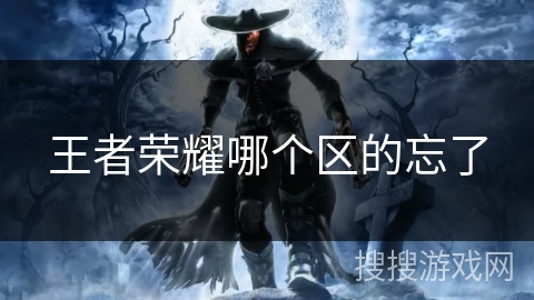 王者荣耀哪个区的忘了
