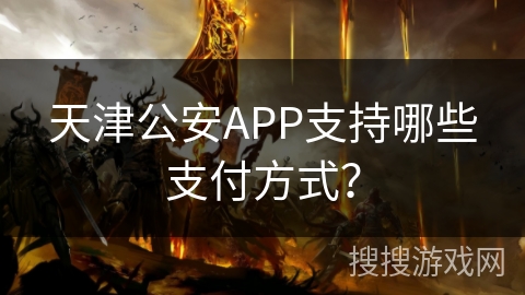 天津公安APP支持哪些支付方式？