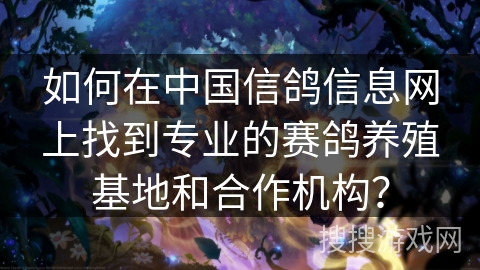 如何在中国信鸽信息网上找到专业的赛鸽养殖基地和合作机构？