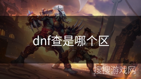 dnf查是哪个区