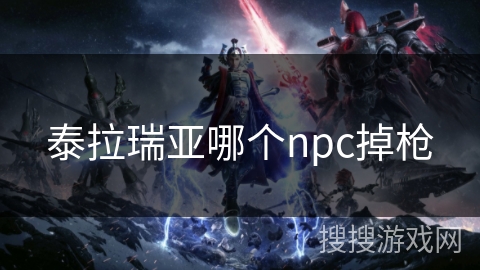 泰拉瑞亚哪个npc掉枪