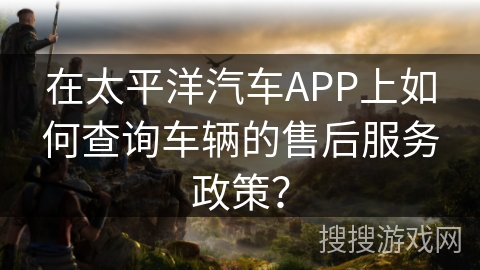 在太平洋汽车APP上如何查询车辆的售后服务政策？