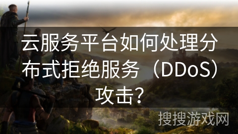 云服务平台如何处理分布式拒绝服务（DDoS）攻击？