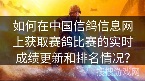 如何在中国信鸽信息网上获取赛鸽比赛的实时成绩更新和排名情况？