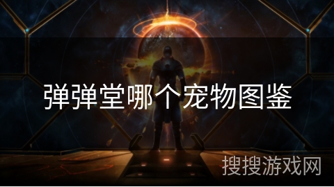 弹弹堂哪个宠物图鉴 弹弹堂哪个宠物图鉴