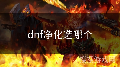 dnf净化选哪个 dnf净化选哪个