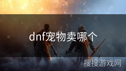 dnf宠物卖哪个 dnf宠物卖哪个