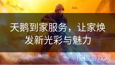 天鹅到家服务,让家焕发新光彩与魅力 天鹅到家服务,让家焕发新光彩与魅力