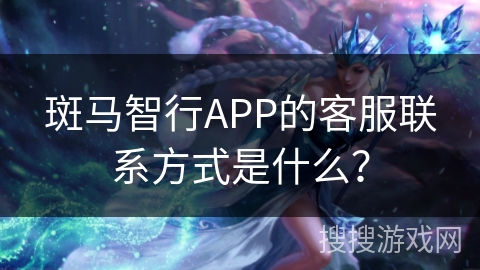 斑马智行APP的客服联系方式是什么？