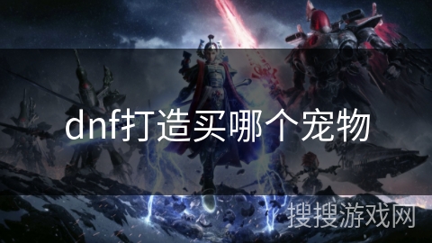 dnf打造买哪个宠物 dnf打造买哪个宠物