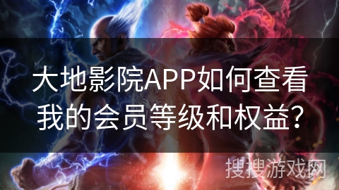 大地影院APP如何查看我的会员等级和权益？