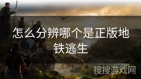 怎么分辨哪个是正版地铁逃生