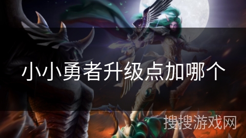 小小勇者升级点加哪个