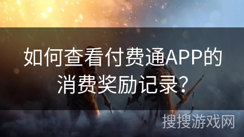 如何查看付费通APP的消费奖励记录？