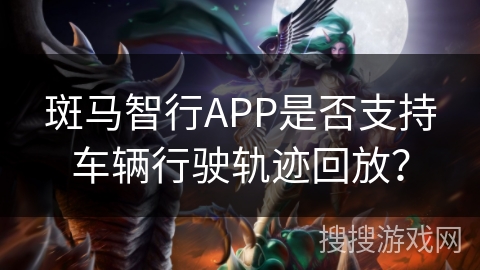 斑马智行APP是否支持车辆行驶轨迹回放？