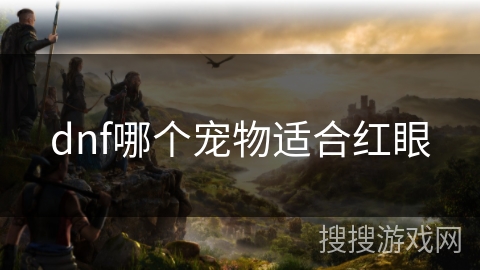 dnf哪个宠物适合红眼