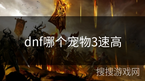 dnf哪个宠物3速高