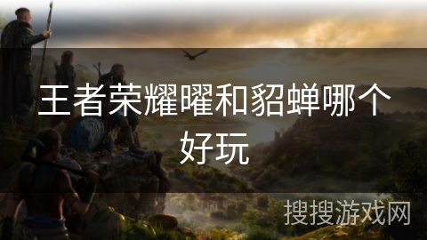 王者荣耀曜和貂蝉哪个好玩