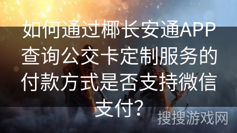 如何通过椰长安通APP查询公交卡定制服务的付款方式是否支持微信支付？