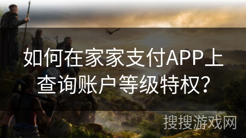 如何在家家支付APP上查询账户等级特权? 如何在家家支付APP上查询账户等级特权?
