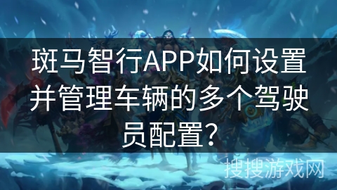 斑马智行APP如何设置并管理车辆的多个驾驶员配置？