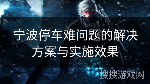 宁波停车难问题的解决方案与实施效果