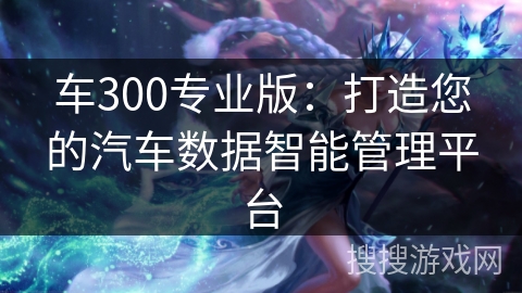 车300专业版：打造您的汽车数据智能管理平台
