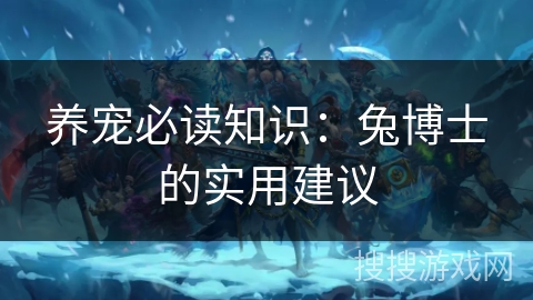 养宠必读知识:兔博士的实用建议 养宠必读知识:兔博士的实用建议
