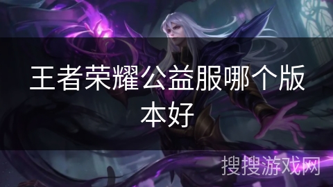 王者荣耀公益服哪个版本好