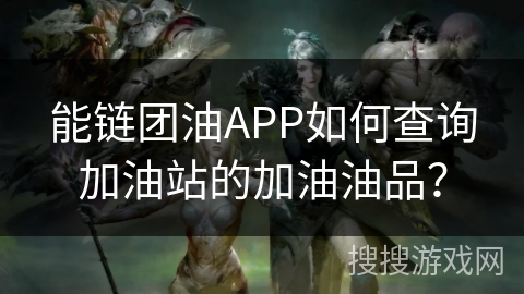 能链团油APP如何查询加油站的加油油品？