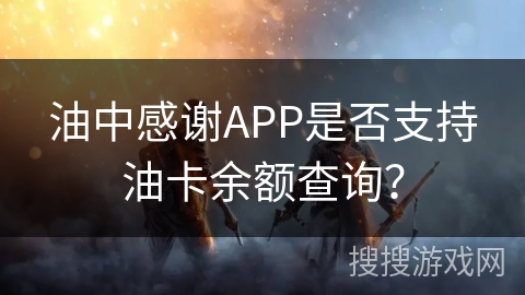 油中感谢APP是否支持油卡余额查询？