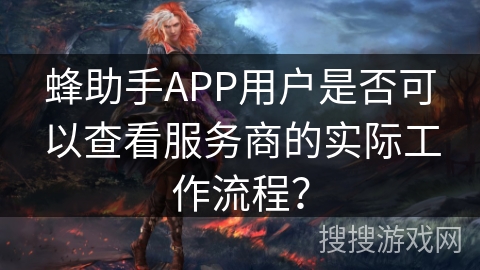 蜂助手APP用户是否可以查看服务商的实际工作流程？