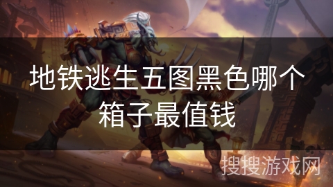 地铁逃生五图黑色哪个箱子最值钱