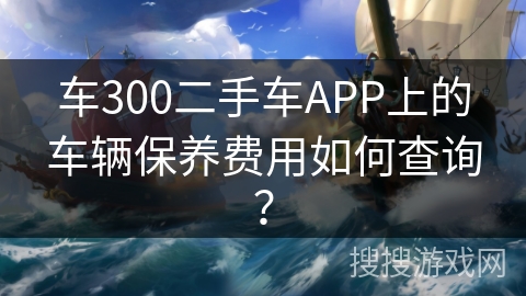 车300二手车APP上的车辆保养费用如何查询？